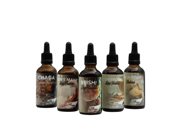 64C70E05-1851-458E-B657-9459106C0CFF-transparent